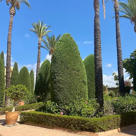 Stunning Sea View Penthouse Apartament *